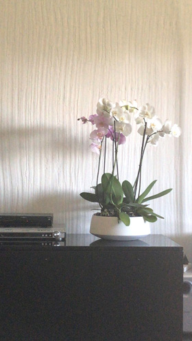 Decorativi effetto bamboo